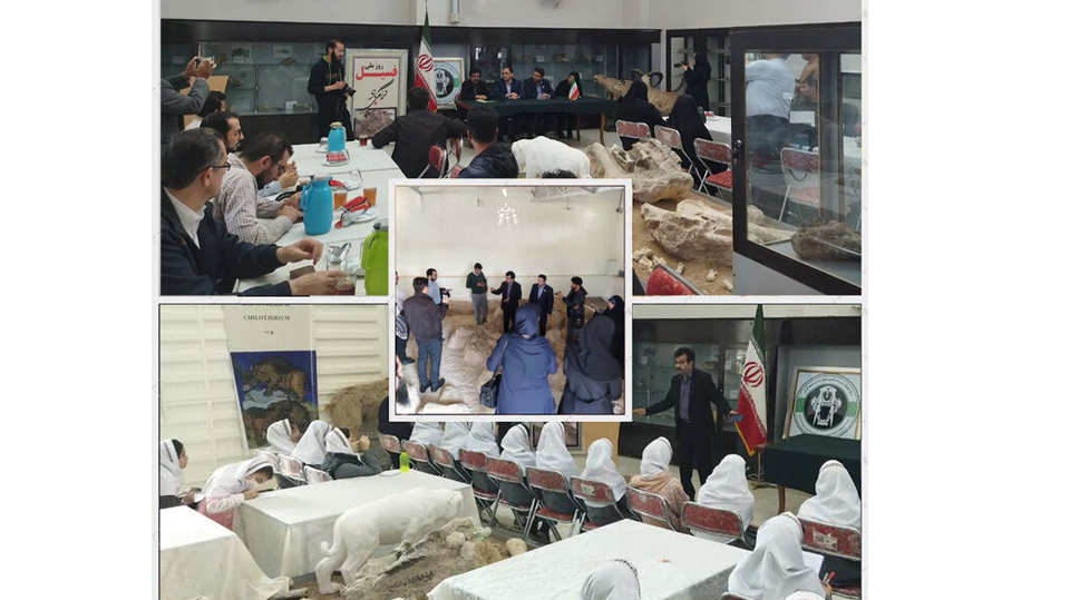 ۱۱ هزار نفر از موزه مرکز تحقیقات فسیل‌شناسی کشور بازدید کردند